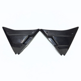 Carbon Side Covers FXR